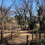 東京大田区・品川区周辺｜子連れピクニックにおすすめ公園をご紹介【2021/05/04更新】
