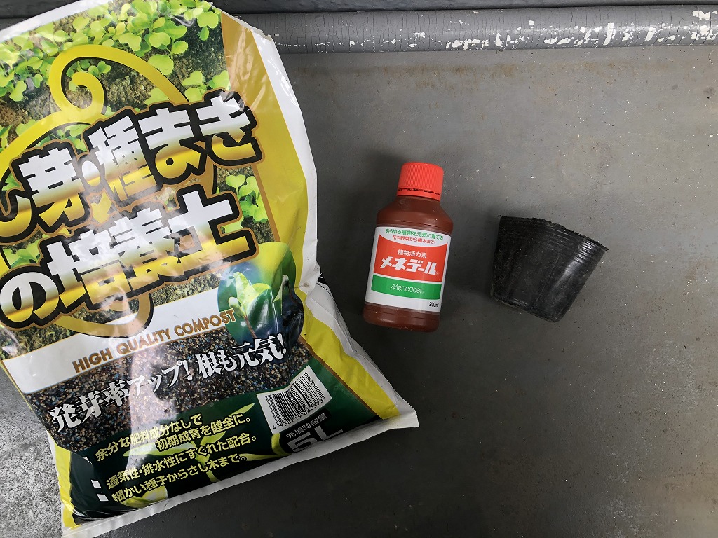 ホップを挿し芽で増やす方法｜やり方やポイントをご紹介 │ ベニテングダケ.com