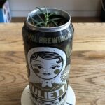 かわいいクラフトビールの空き缶を観葉植物用の鉢に改造