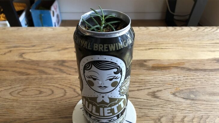 かわいいクラフトビールの空き缶を観葉植物用の鉢に改造