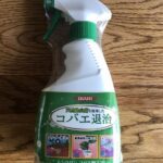 【実録】観葉植物のコバエ対策・駆除は「ムシクリン コバエ用スプレー」が超おすすめ